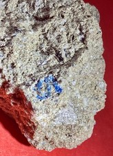 Sehr schöne Hauyn XX in Phonolith Bims. Wingertsbergwand, Laacher See, Brohltal