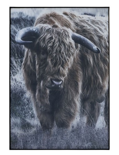 Wandbild bild bison - bild,