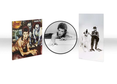 David bowie diamond dogs 2023 - diamond, (2023