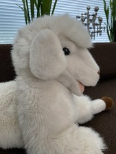 Schaf Sigikid West Germany