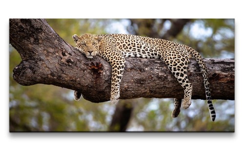120x60cm leinwandbild leopard - 120x60cm,