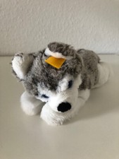 Steiff Bernie Husky 22 cm TOP Zustand aus Nichtraucherhaushalt
