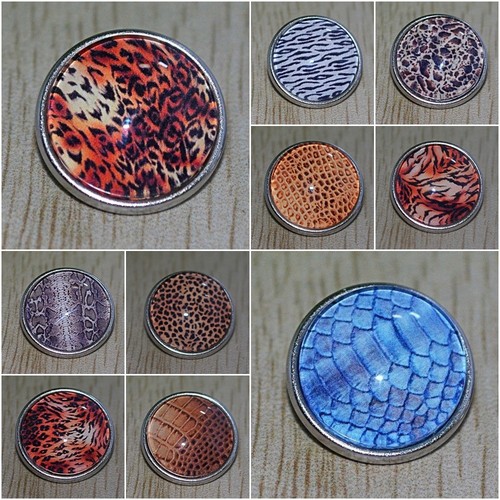 Auswahl animal print leo - auswahl, +++