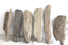 Schwemmholz Treibholz 6