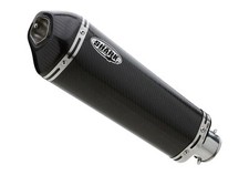 SHARK DSX-10 Auspuff carbon