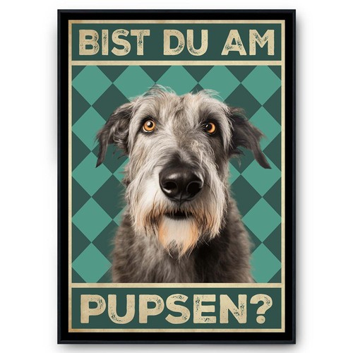 Irischer wolfshund bist - wolfshund,