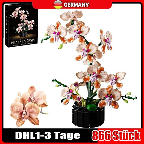 Orchidee bausteine blume - orchidee, se