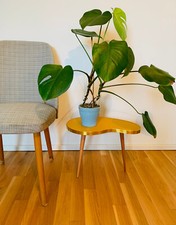 Retro Nierentisch Blumenhocker