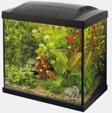Superfish start schwarz - 30,