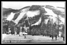 Ansichtskarte Panhans Skiwiese / Semmering - N. Ö. / Österreich