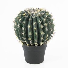 artplants Künstlicher