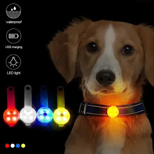 Led leuchthalsband - led,