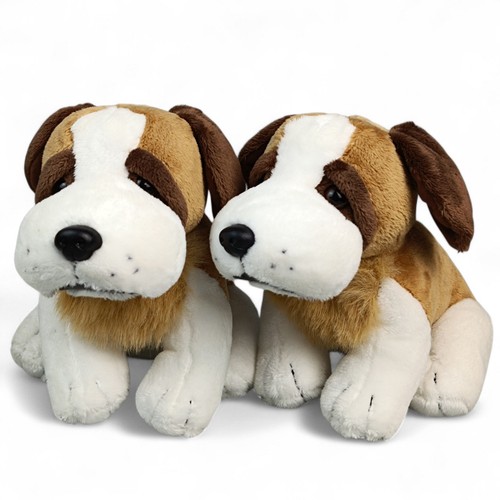 Nici buderus hund - nici,