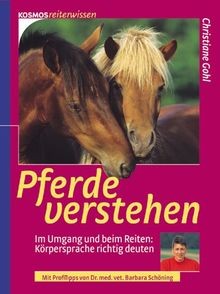 Pferde verstehen umgang - pferde, im