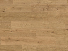 Klick Korkboden Kork Eiche