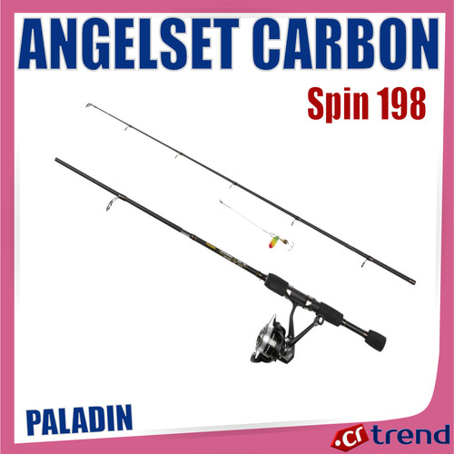 Paladin carbon spin 198 - spin,