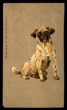 PUG MOPS HUND CARLIN DOG Art