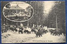 AK Eldagsen Springe Forsthaus Jägerhaus im Saupark Wildschweinfütterung 1914