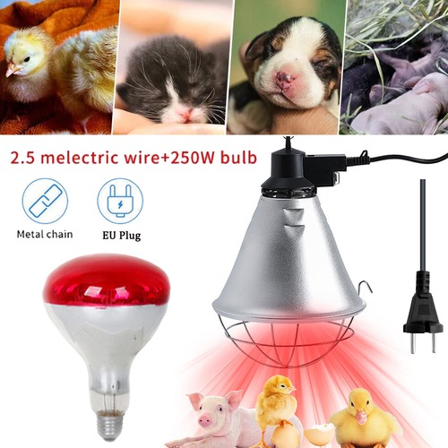 250w e27 wärmelampe tiere - 250w,