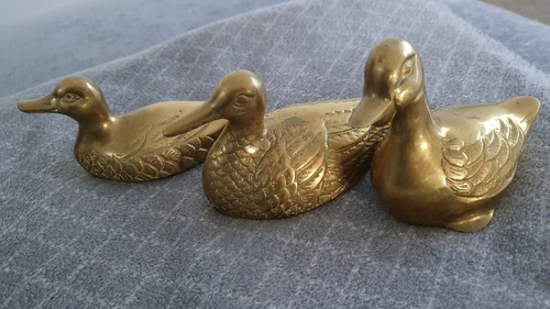 Messing enten familie - 3,