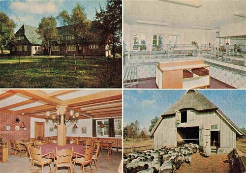 Schneverdingen pension gasthof - schneverdingen,