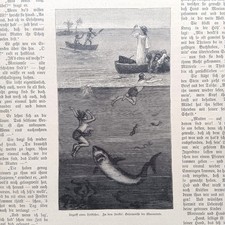 1885 Holzstich wood engraving