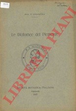 Diatomee - GIAJ - Die