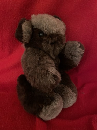 Teddybär sammlung - sammlung,