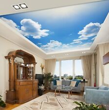 3D Blauer Himmel H2332 Decke
