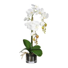 Kunstblume PHALENOPSIS (Orchidee) im runden Glas. Mit 2 Trieben. Ca 52cm. WEISS
