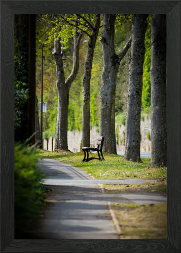 Parkbank unter bäumen - parkbank,