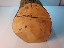 1 Stamm Drechselholz Buchsbaum