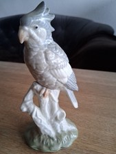 Kakadu auf Baumstumpf