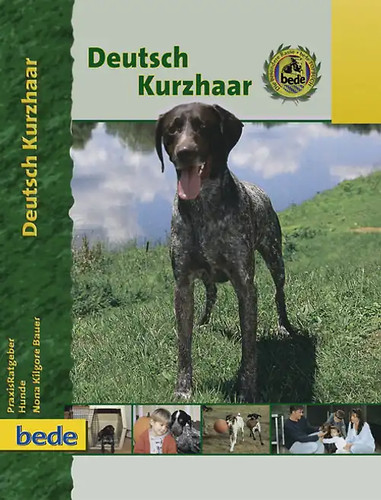 Deutsch kurzhaar - deutsch,