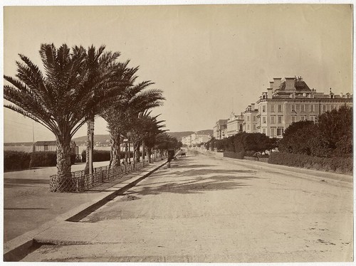 Fotoalbum albumen nizza côte - albumen,