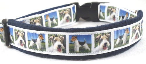 Hundehalsband foxterrier m - hundehalsband,