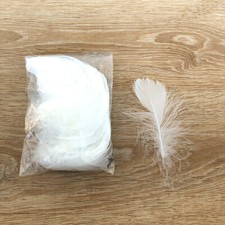 Paket mit 50 farbigen Federn -