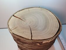 Kirsche Holz Stamm Scheibe