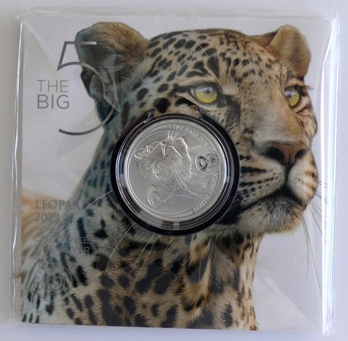 Südafrika rand 2023 - rand, the