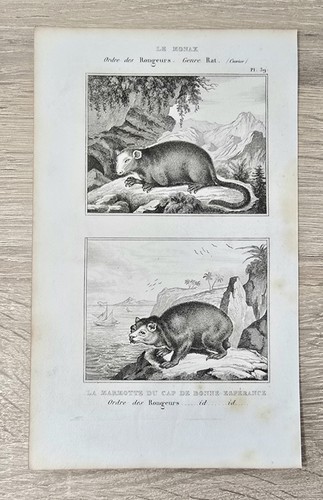Orig buffon histoire - orig.,