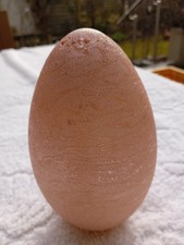 Elambia QVC Deko LED Osterei