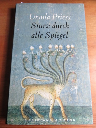Sturz durch alle - spiegel, von