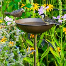 Metall Vogeltränke stehend