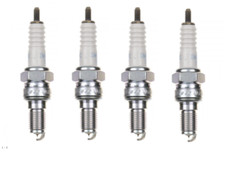 Kerzen Honda CBR 1100 Xx 2001