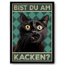 Bist du am Kacken? Katzen