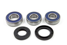 Radlager Satz 25-1256 hinten