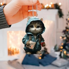 Süßer 2D Acryl Katzen