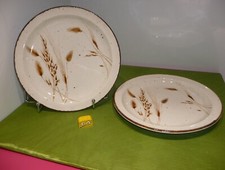 Midwinter Stonehenge   WILD OATS  wilder Hafer 2 Speiseteller  Ø ca. 26 cm  TOP