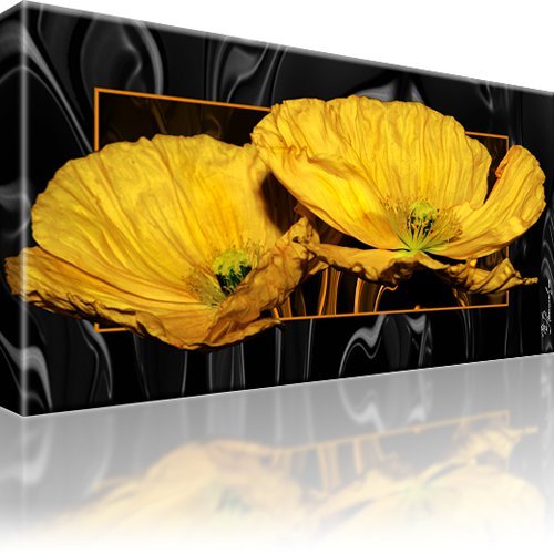 Gelbe mohnblume bild bilder - gelbe,