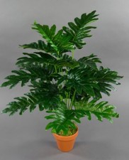 Monstera Real Touch 60cm grün im Topf ZF Kunstpflanzen künstliche Pflanzen